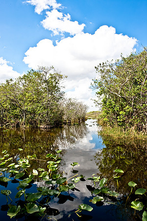 2528_EVERGLADES_MIAMI_FLORIDA_200903016_5L8Y2741