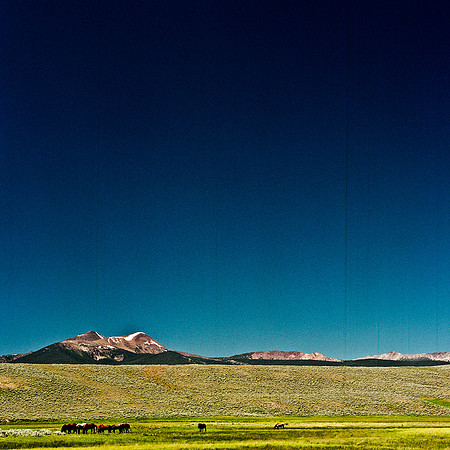 2408_FM_COLOR_ID_02_5.jpg