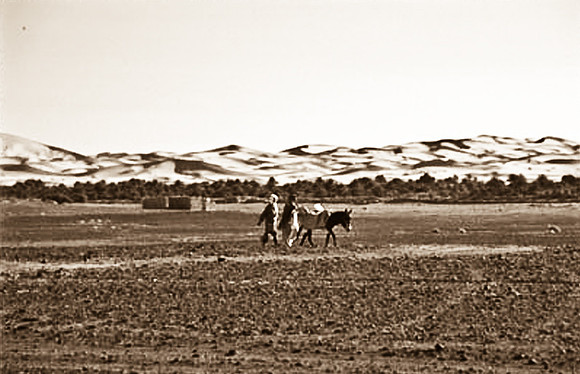 3204_SL_COLOR_MERZOUGA_SHAHARA_MAROCCO_II_1998_15