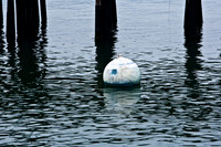 06584_ZV4N_1749_DG_COLOR_SANTA_BARBARA_CALIFORNIA_CA_USA_2007