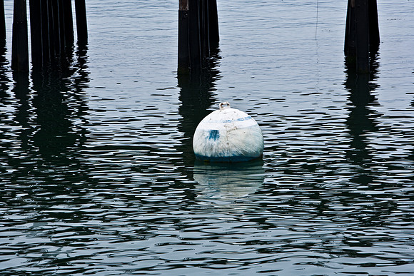 06584_ZV4N_1749_DG_COLOR_SANTA_BARBARA_CALIFORNIA_CA_USA_2007