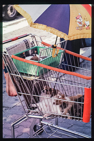 1988_Korea_062