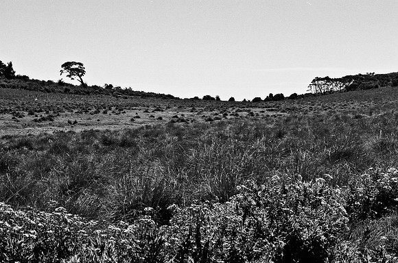 B3_82008_BW_194_New_Amboseli_Africa_89_26