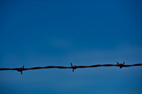 06604_DG_COLOR_MENDOCINO_CALIFORNIA_CA_USA_2007_ZV4N_2785