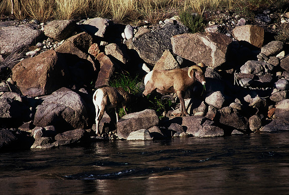 47438_B5_SL_COLOR_SALIDA_5_POINT_SPEEDING_COLORADO_WY_97_01.jpg