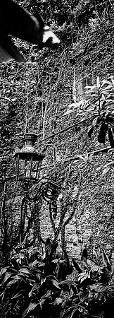 7720_FM_BW_NEW_ORLEANS_LA_01.jpg
