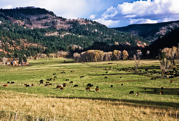 47477_B5_SL_COLOR_SAN_JUAN_NAT_FORREST_TO_TELLURIDE_TO_DOLORES_HWY195_COLORADO_WY_97_05.jpg