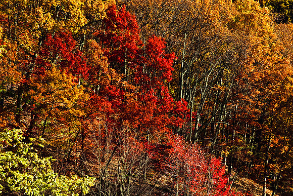 0258_FM_COLOR_MINESOTA_99_70.jpg