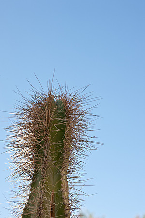 0031_La_Arizona_5L8Y5532
