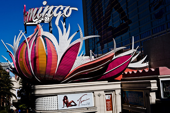 06651_DG_COLOR_LAS_VEGAS_NEVADA_NV_USA_2007_ZV4N_3430