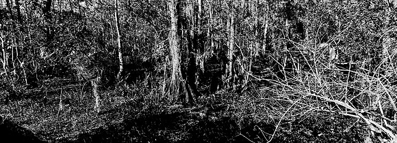 7749_FL_BW_LOUISIANA_01_3.jpg