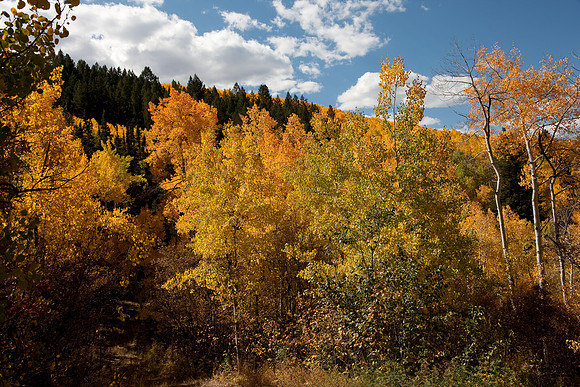 20080829_DVD15_DG_USA_Aspen_2108_full_blead