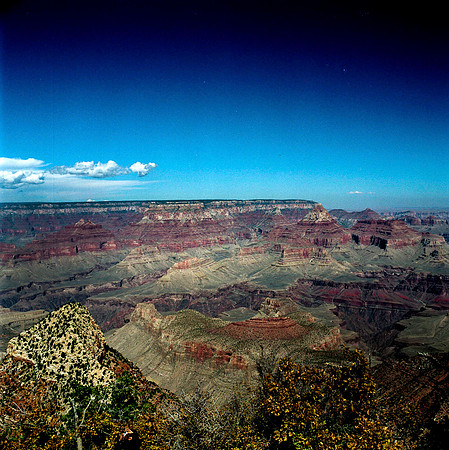 6127_COLOR_SQ_Grand_Cayon_National_Park_ARIZONA_USA_05_2.jpg