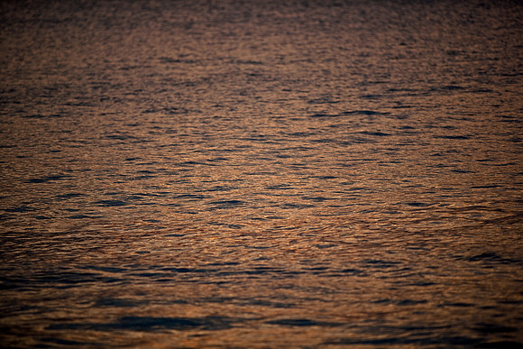 85543_ZV4N6993_Miami_To_Sanibel_Island_FL