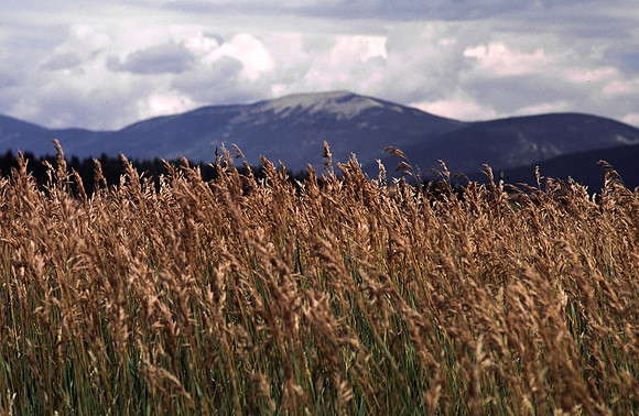 37861_B15_SL_COLOR_CIMARRON_TO_CARSON_NF_LOOP_TO_TAOS_HWY56_NM_97_11.jpg