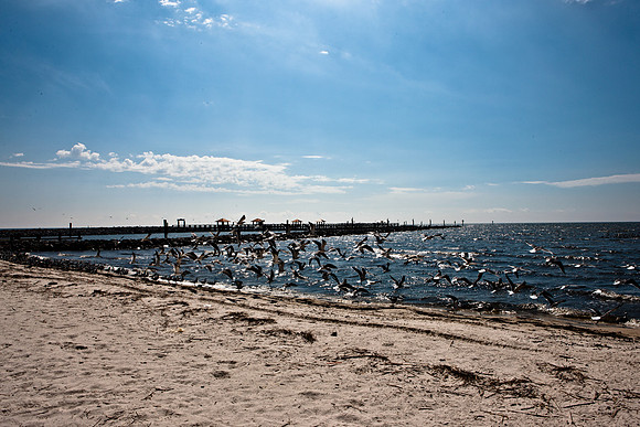 0036-NEW_ORLEANS_TO_PANAMA_CITY_BEACH_5L8Y1182