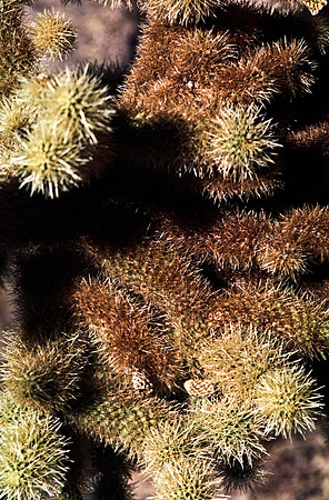 47806_B13_SL_COLOR_ROUTE_66_AZ_97_4.jpg