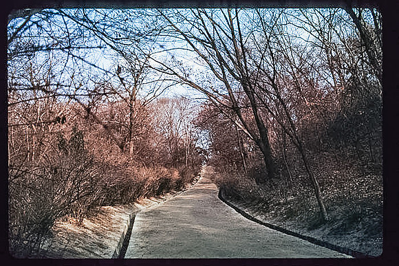 1988_Korea_229