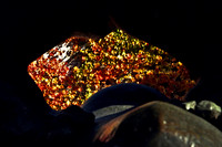 0258_FM_COLOR_MINESOTA_99_14.jpg
