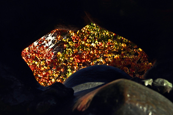 0258_FM_COLOR_MINESOTA_99_14.jpg