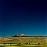 2408_FM_COLOR_ID_02_3.jpg