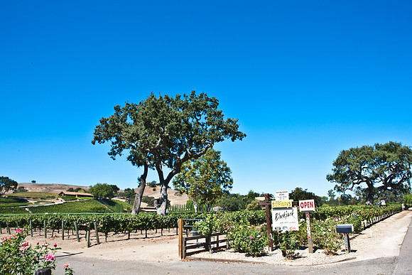 0028_Frisco_To_LA_5L8Y2390