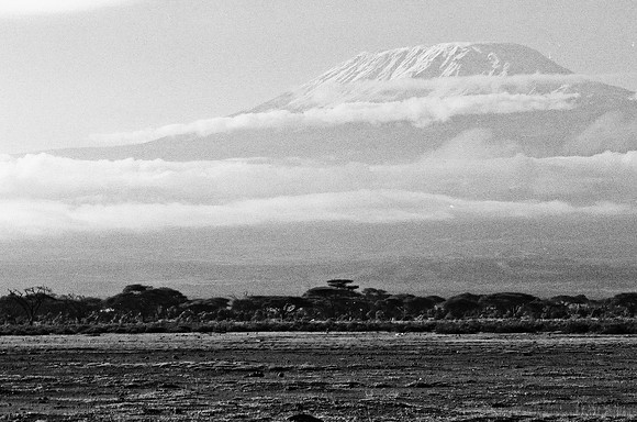 B3_82005_BW_194_New_Masa_Mara_Africa_89_8
