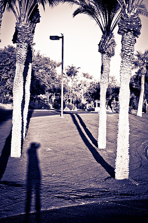 0031_La_Arizona_5L8Y5093-2