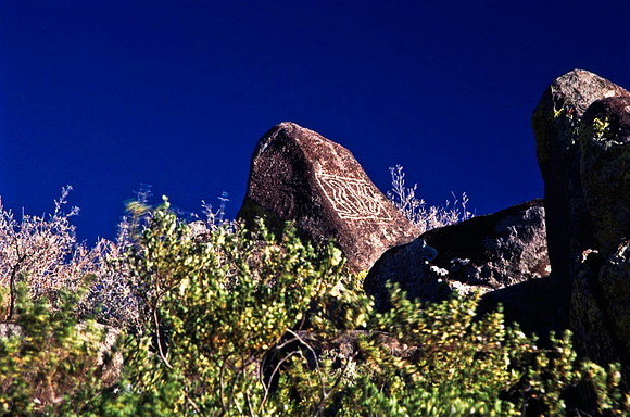 47902_B16_SL_COLOR_NM_97_15.jpg