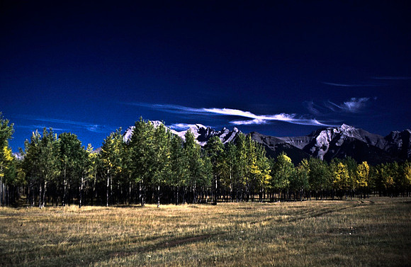 06823_B19_SL_COLOR_BISON_NAT_PARK_LAKE_LOUIS_VILLAGE_WS_97_07.jpg