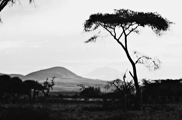 B3_82007_BW_194_New_Masa_Mara_Africa_89_25