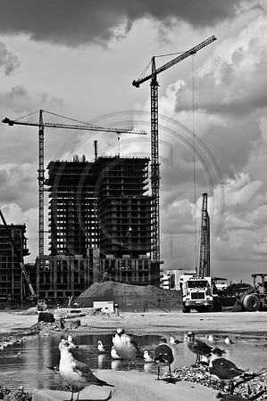 MDT33137_DG_DSC_MIDTOWN_BW_0973