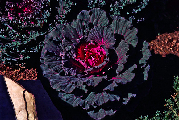 47703_B12_SL_COLOR_SEDONA_TO_CATHEDRAL_ROCK_TO_ENCHANTON_RESORT_AZ_97_16.jpg
