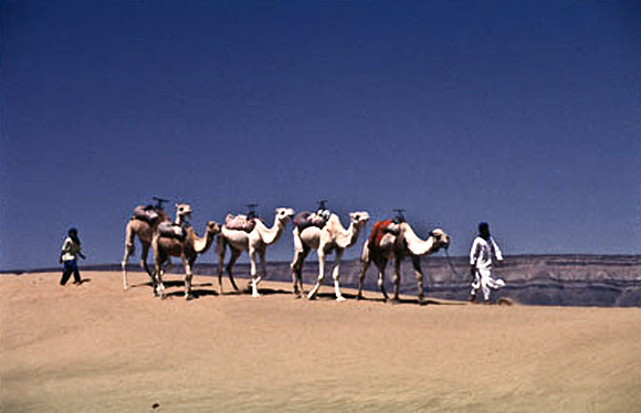 3190_SL_COLOR_TAMGROUTE_DUNES_MAROCCO_II_1998_10