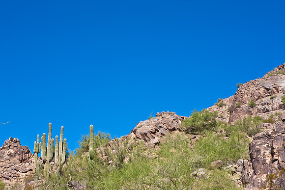 0031_La_Arizona_5L8Y5432