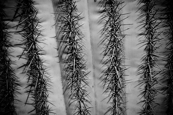 0031_La_Arizona_5L8Y5387