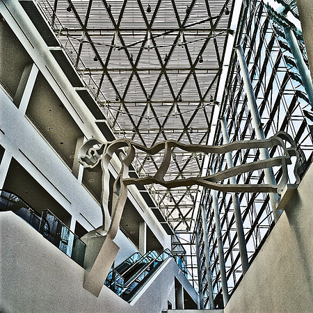 2647_FM_COLOR_SQ_MUSUE_OF-MODERN_ART_BUENOS_AIRES_ARGENTINA_2004_9