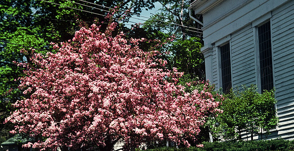 64051_B1_SL_COLOR_NY_82_04.jpg