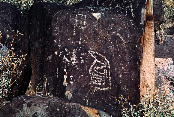 47899_B16_SL_COLOR_TREE_RIVER_PETROGLYTH_NAT_RES_NAT_MNT_HWY LOOP20_NM_97_1212.jpg