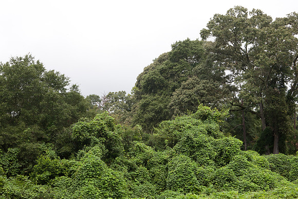 0014_DG_Perry_GA_USA_2009_5L8Y0337