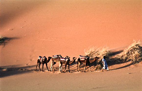 3208_SL_COLOR_MERZOUGA_SHAHARA_MAROCCO_II_1998_15