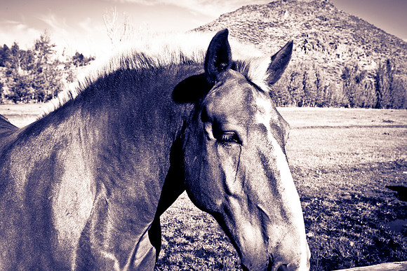 0021_Wyonming_To_Ketchem_Sun_Valley_ID_5L8Y8027