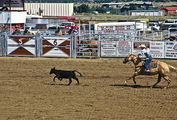 47488_B6_SL_COLOR_TRINIDAD_RODEO_CO_97_02.jpg