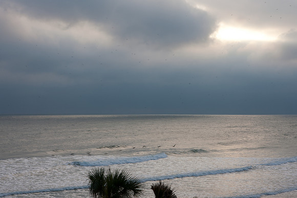 0040_PANAMA_BEACH_TO_DAYTONA_MIAMI_5L8Y1514