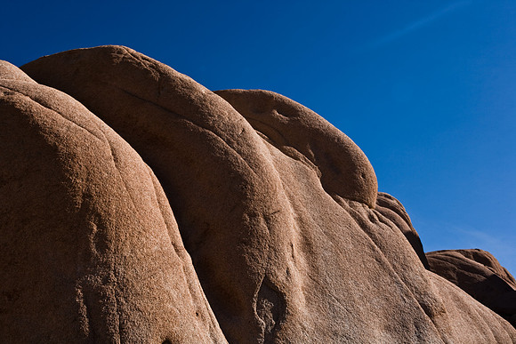 06646_DG_COLOR_JOSHUA_TREE_NAT_PARK_29_PALMS_CALIFORNIA_CA_USA_2007_ZV4N_482