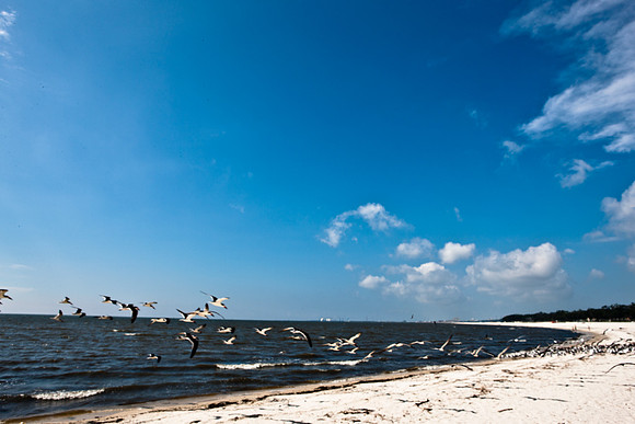0036-NEW_ORLEANS_TO_PANAMA_CITY_BEACH_5L8Y1175