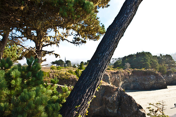 5L8Y0949