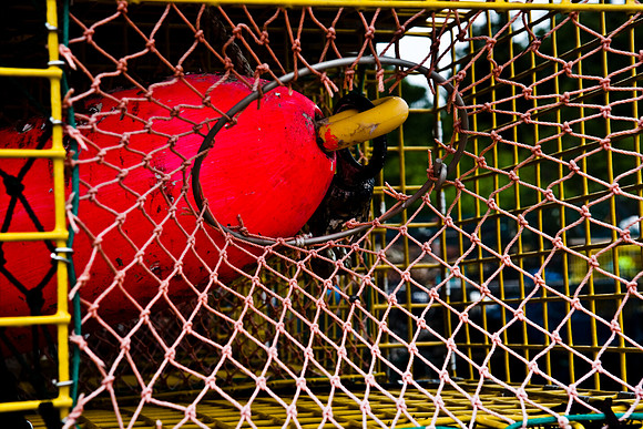 06581_ZV4N_0926_DG_COLOR_BASS_HARBOR_MAINE_ME_USA_2007_Costal_fishing_details