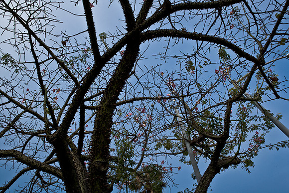 06634_DG_CALIFORNIA_USA_2007_ZV4N_9988