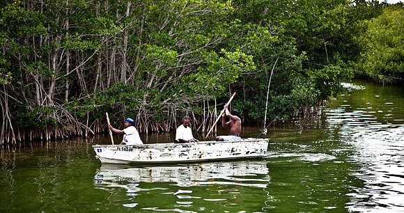 20090309-Everglades_Natasha_DA_Miami_FL_5L8Y2452